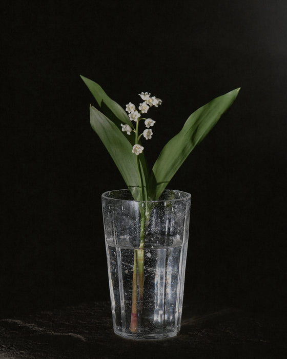 Decagonal Glass