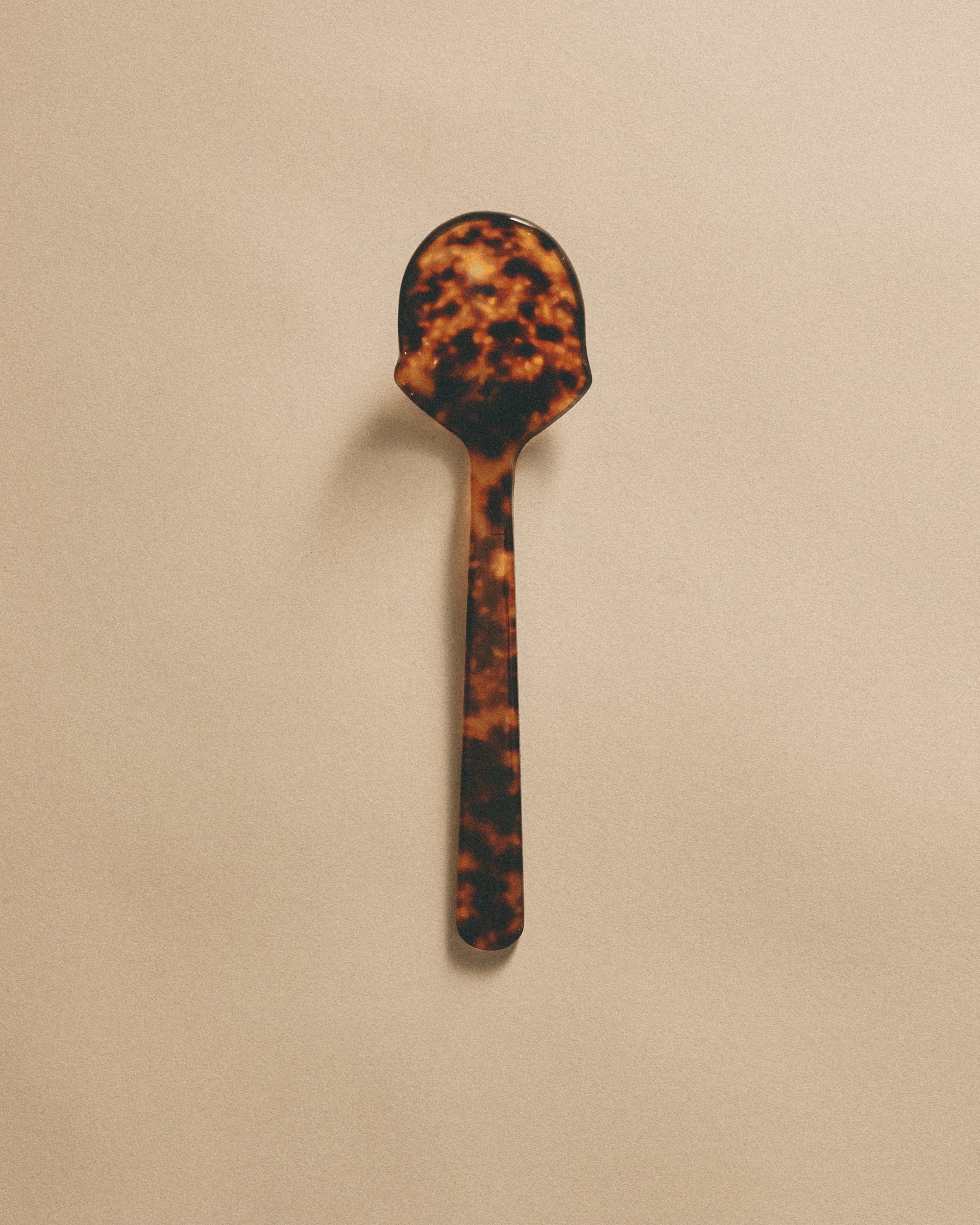 Tortoise Serving Spoon