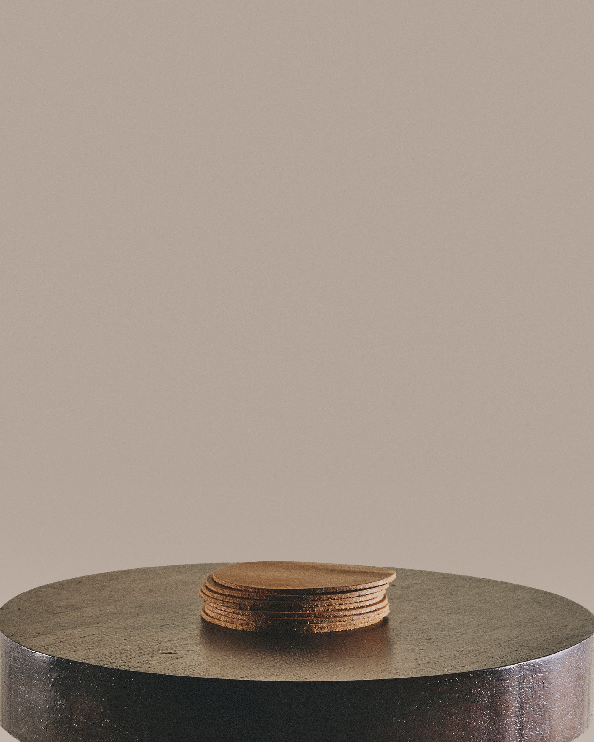Leather Coasters