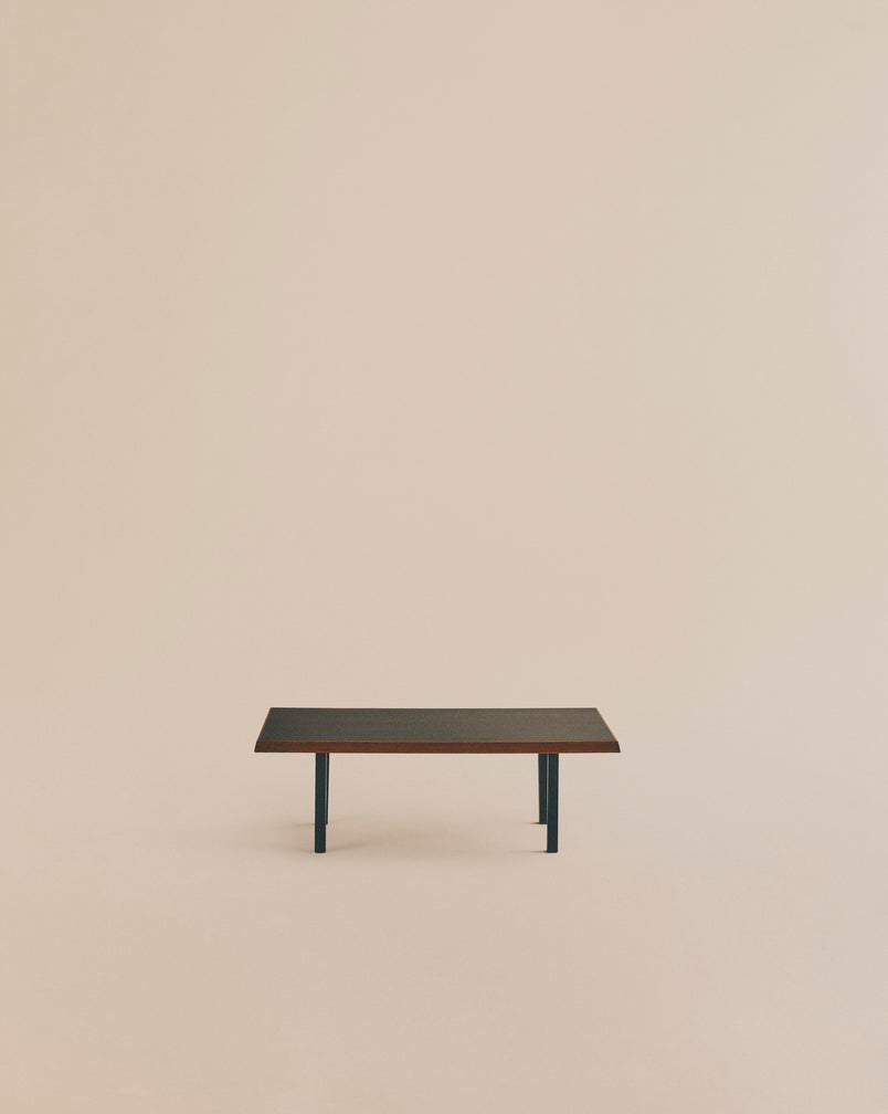 Modern Coffee Table