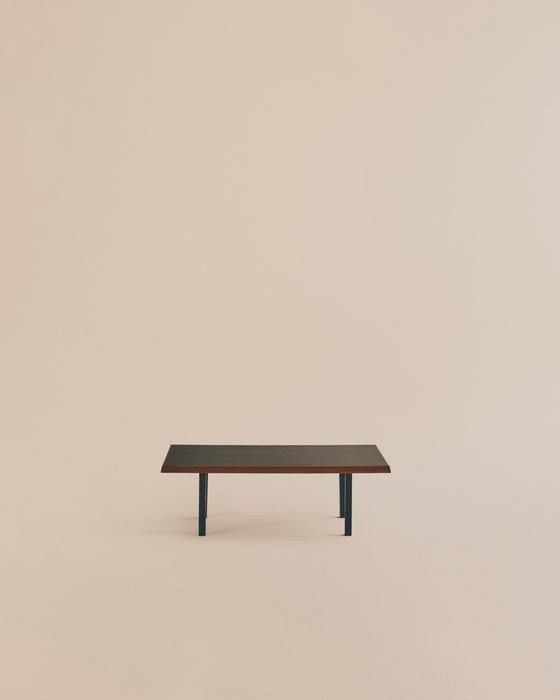 Modern Coffee Table