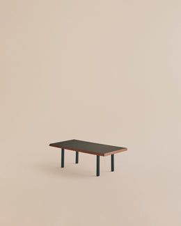 Modern Coffee Table