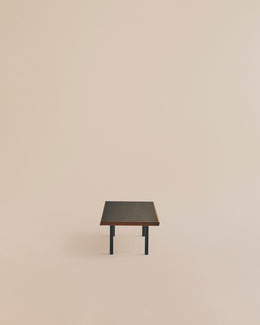 Modern Coffee Table
