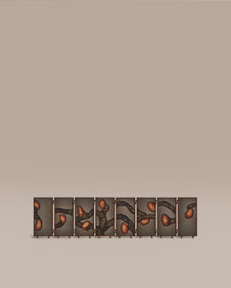 Monarch Screen, Artist Edition II